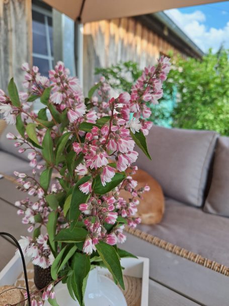 Vase mit rosa-weißen Blumen auf einem Tisch vor einer Couch im Freien.